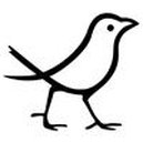 Disqus profile picture for @BlackBird