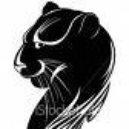 Disqus profile picture for @leopard