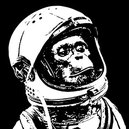 Disqus profile picture for @crewman