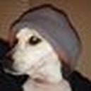 Disqus profile picture for @thermos