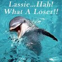 Disqus profile picture for @flipper