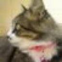 Disqus profile picture for @MariaT