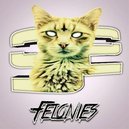 Disqus profile picture for @felonies
