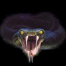 Disqus profile picture for @Viper
