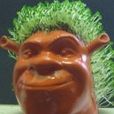 Disqus profile picture for @carbo