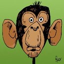 Disqus profile picture for @Chimpanzee