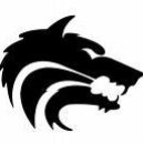 Disqus profile picture for @Wolves