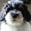 Disqus profile picture for @jacqueT