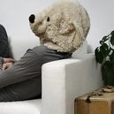 Disqus profile picture for @stephennn