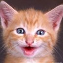 catsbyjr