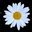 daisymaeqqzz