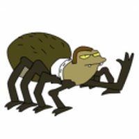 Disqus profile picture for @Arachnid