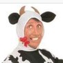 Dairy Mootera