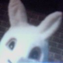 Disqus profile picture for @foam