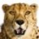 Disqus profile picture for @GetUp