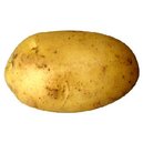 Disqus profile picture for @John