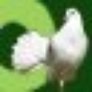 Avatar for dlbvn