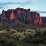Desert Voice