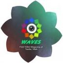 Disqus profile picture for @WAVESTX