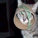 Disqus profile picture for @Solitary