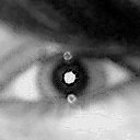 Disqus profile picture for @Elisabeth