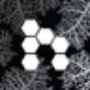 Disqus profile picture for @geometry