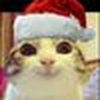 Disqus profile picture for @concealer