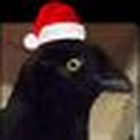 Disqus profile picture for @deafening