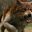 greenwolf