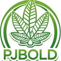 Disqus profile picture for @pjbold