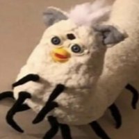Disqus profile picture for @darndest