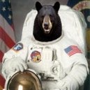 Disqus profile picture for @Assimilate