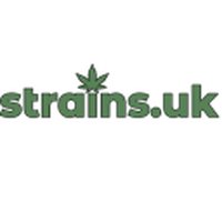 Disqus profile picture for @strains