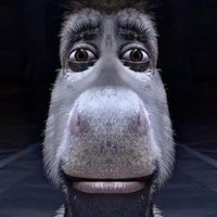 Disqus profile picture for @Burro