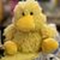 Disqus profile picture for @downsizing
