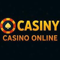 Casiny Casino interface preview