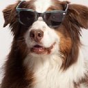Disqus profile picture for @swatches