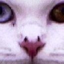 Disqus profile picture for @quintet
