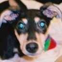 Disqus profile picture for @ISBN