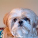 Disqus profile picture for @lisa