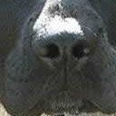 Disqus profile picture for @DDS