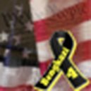 Disqus profile picture for @constitutionally