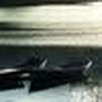 Disqus profile picture for @invitation