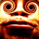 Disqus profile picture for @K1NG