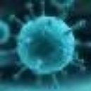 Disqus profile picture for @cholera