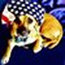 Disqus profile picture for @christie