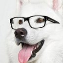 Disqus profile picture for @JToussaint