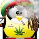 Disqus profile picture for @jj3pulido
