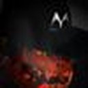 Disqus profile picture for @Mock