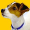 Disqus profile picture for @barking